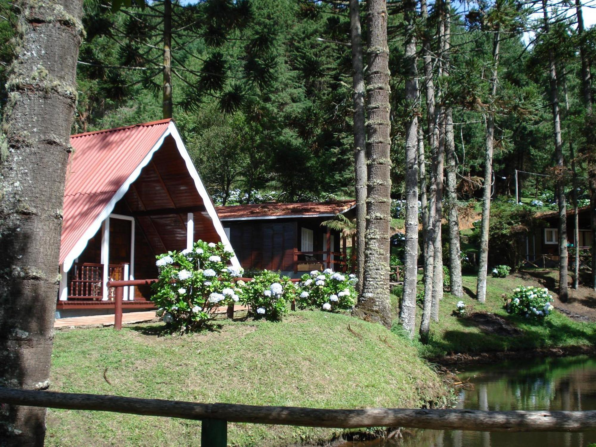 Hotel Fazenda Floresta Negra مونتي فيردي الغرفة الصورة