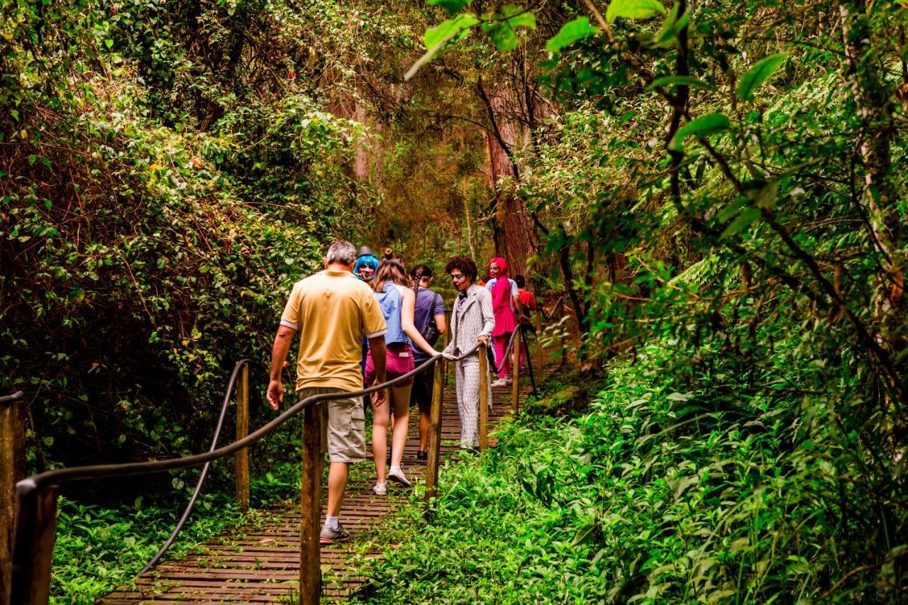 Hotel Fazenda Floresta Negra مونتي فيردي المظهر الخارجي الصورة