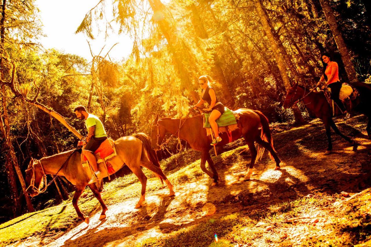 Hotel Fazenda Floresta Negra مونتي فيردي المظهر الخارجي الصورة