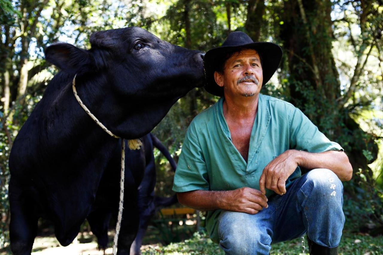 Hotel Fazenda Floresta Negra مونتي فيردي المظهر الخارجي الصورة