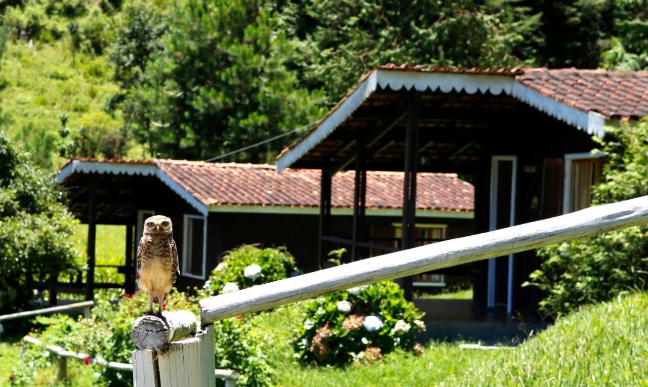 Hotel Fazenda Floresta Negra مونتي فيردي المظهر الخارجي الصورة