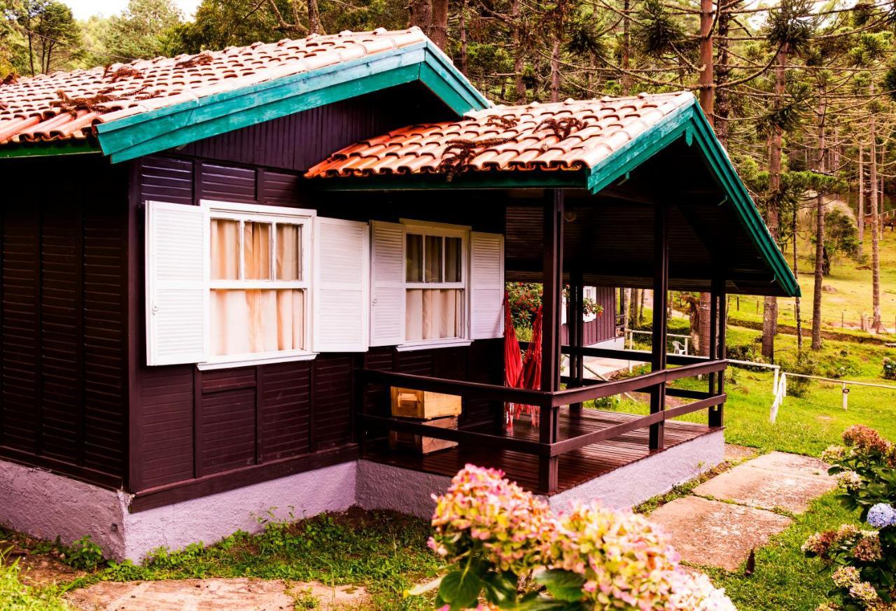 Hotel Fazenda Floresta Negra مونتي فيردي المظهر الخارجي الصورة